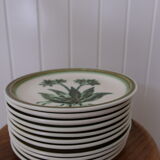 Set of 11 plates