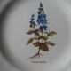 11 Plates decor plants , faience "'a d p" Haute Provence.