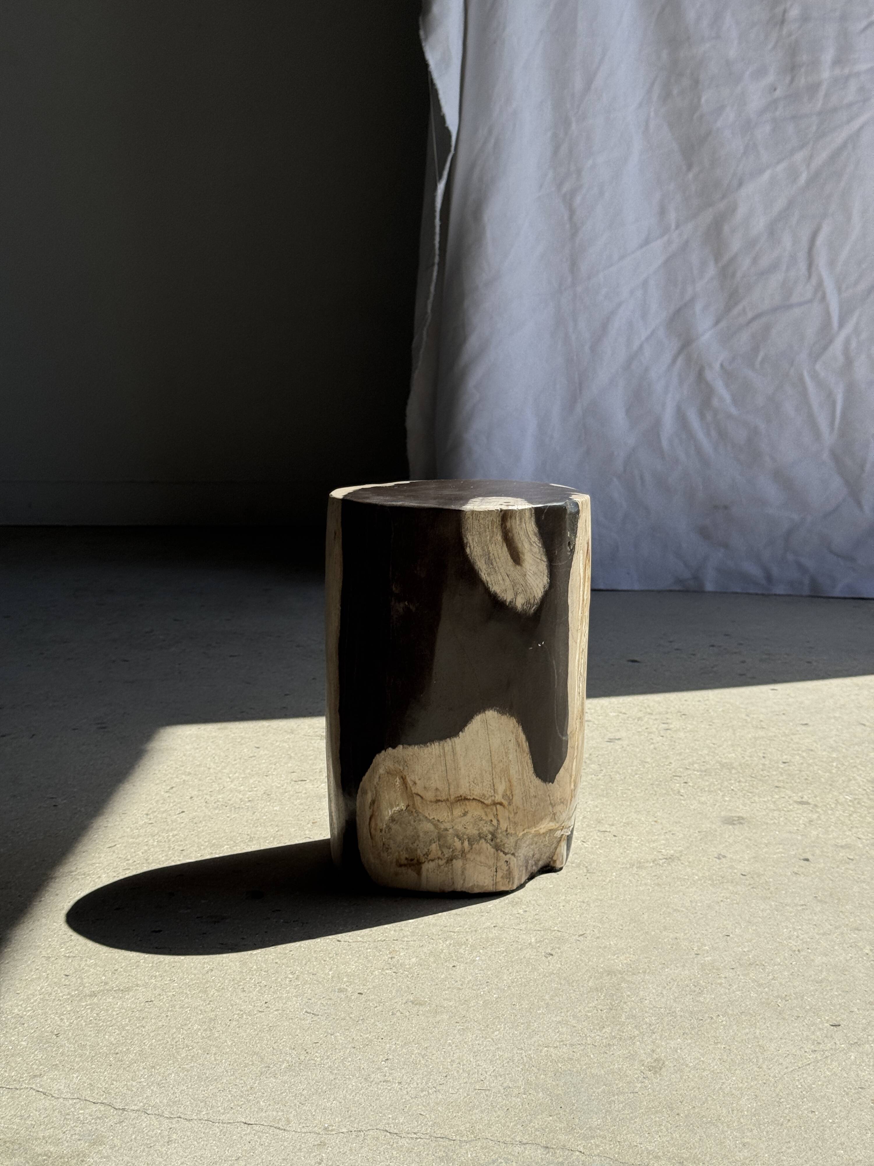 Small side table in black and white petrified wood H28 D18