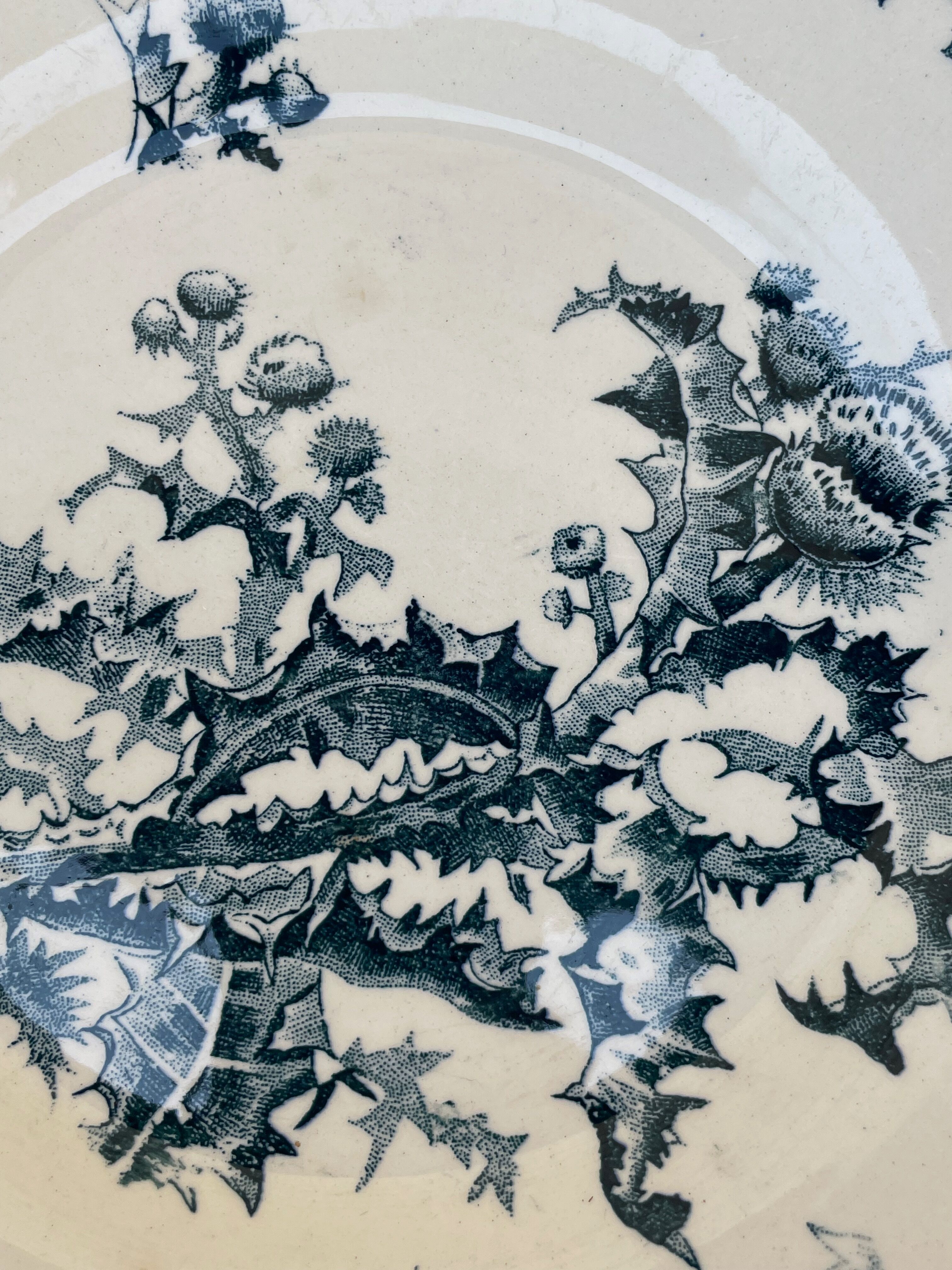 Set of 2 plates white blue with thistle pattern porcelain opaque thistles Gien