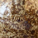 Pichet en grès pyrité Pierre Digan La Borne