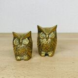Pair of owls/owls in golden brass