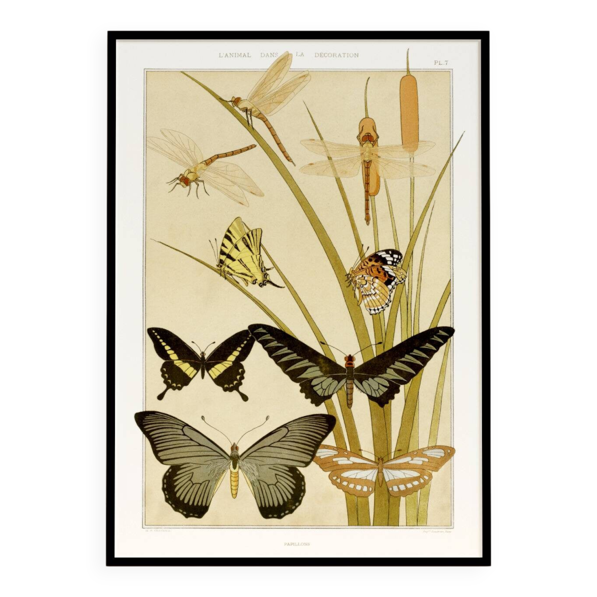 Poster “Butterflies”, after an Art Nouveau lithograph from 1897