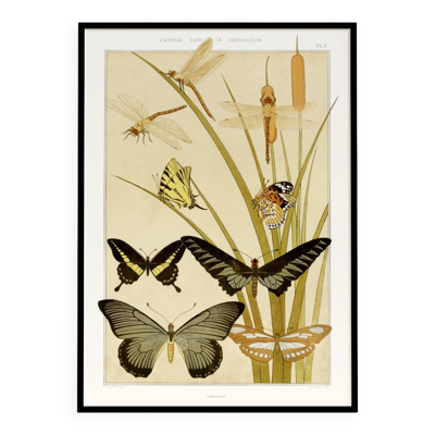 Affiche “Papillons”, d’après une lithographie art nouveau de 1897