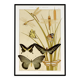 Poster “Butterflies”, after an Art Nouveau lithograph from 1897