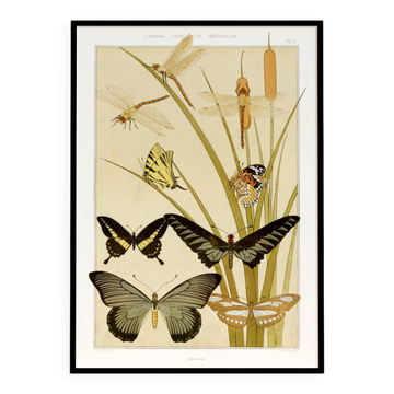 Affiche “Papillons”, d’après une lithographie art nouveau de 1897