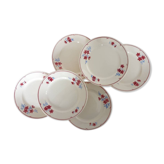 Old flat plates floral model of the French manufacturer of Badonviller
