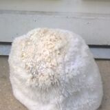 White coral
