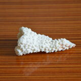 Lot of 3 pieces of coral