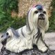 Shih Tzu dog statuette - 1950 - Italian