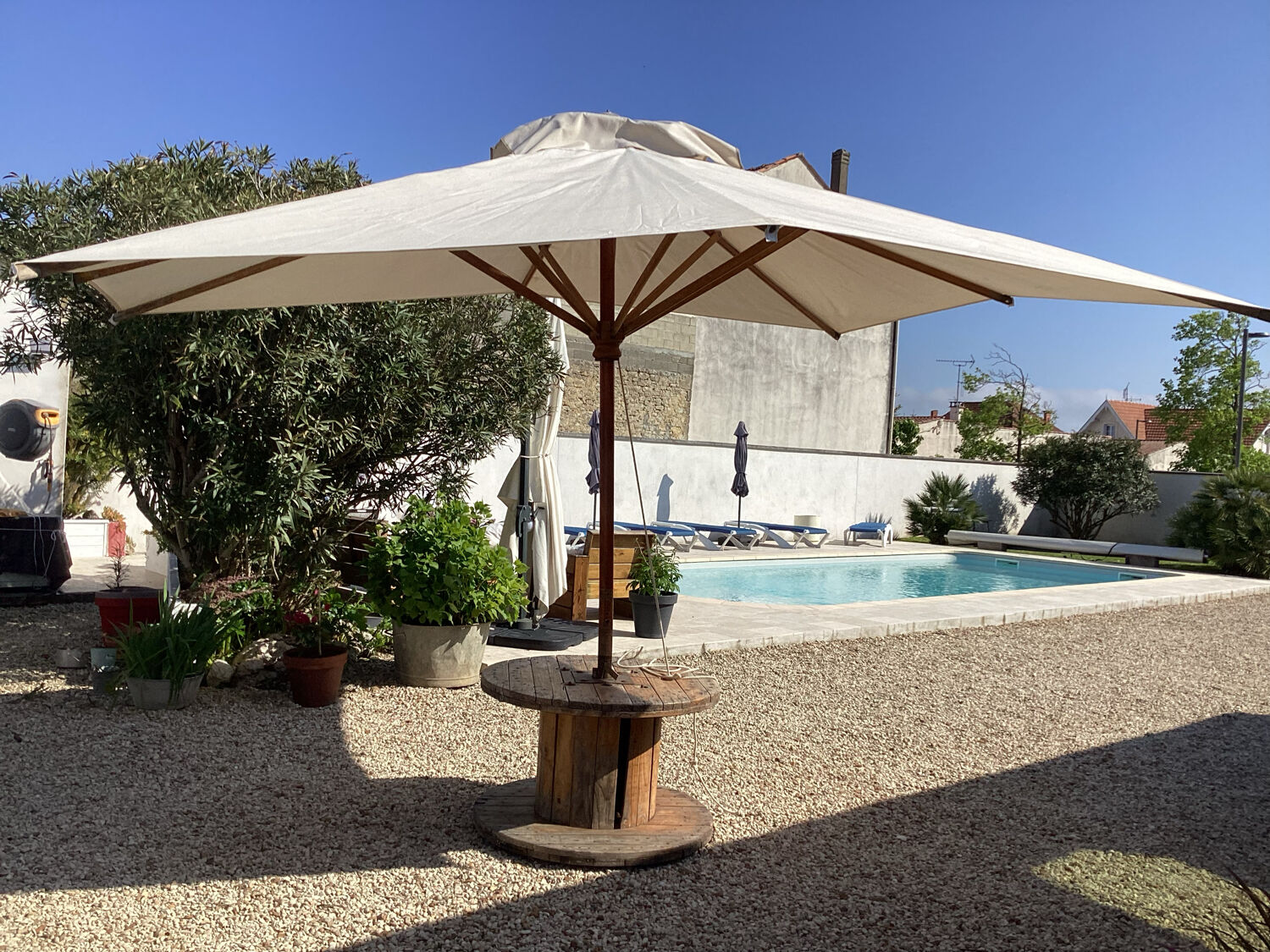 Parasol structure in exotic wood