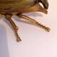 Ashtray with lid in the shape of a beetle in gilt bronze