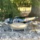 Footed pewter champagne cooler on claw feet with floral relief