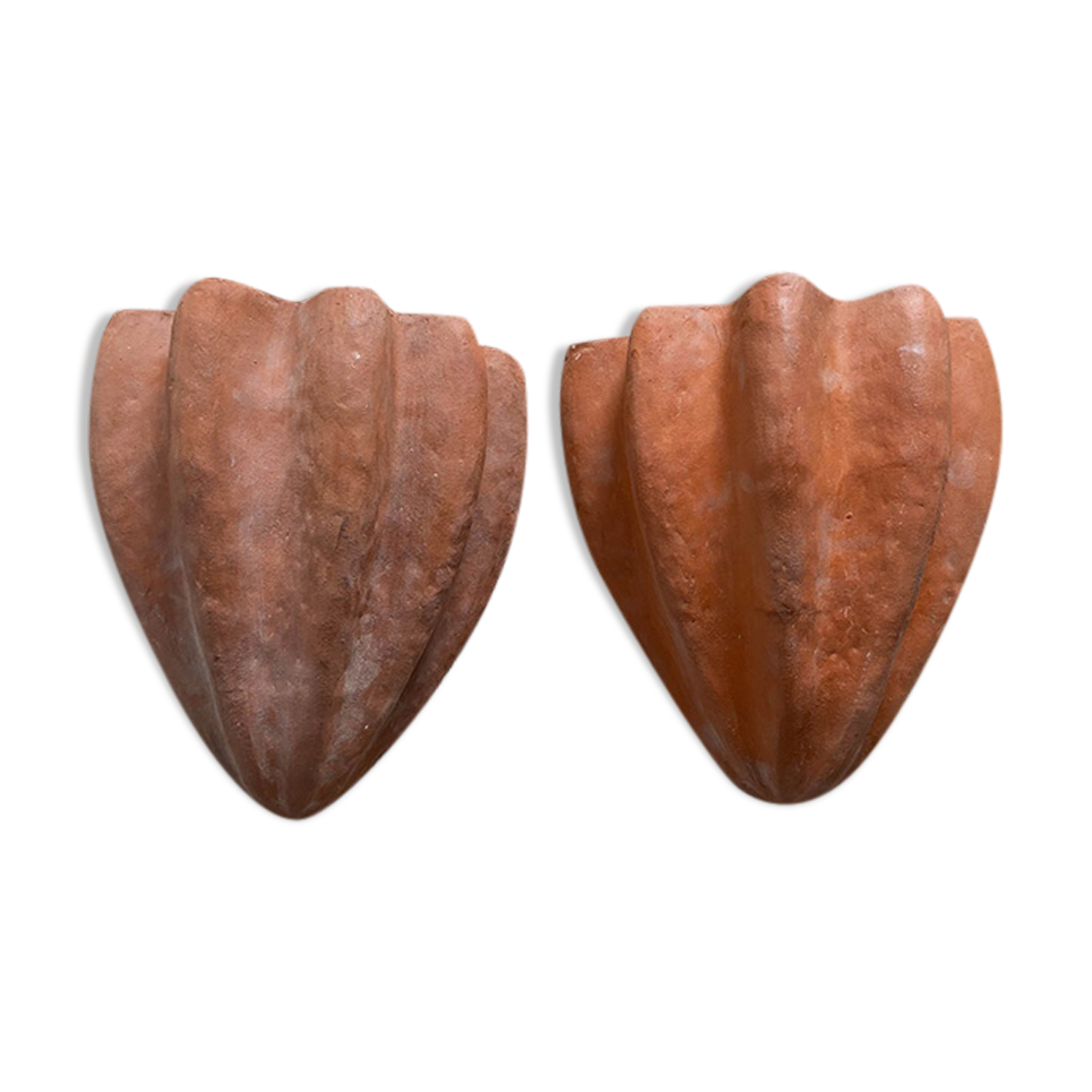 Pair of shell wall lamps