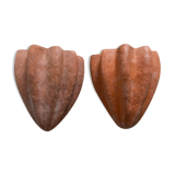 Pair of shell wall lamps