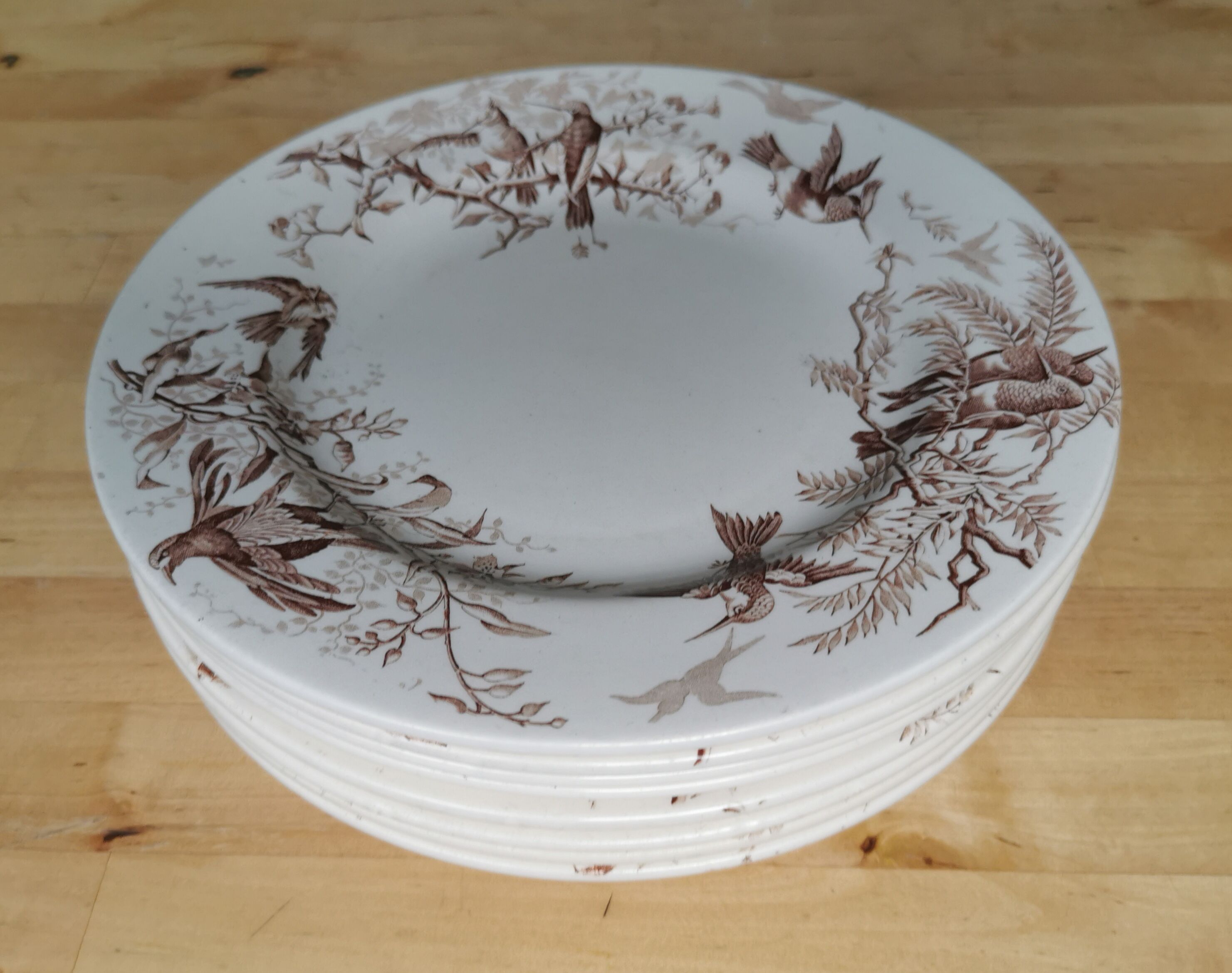 Lot of 8 Colibri luneville plates