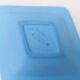 Empty pocket Wedgwood