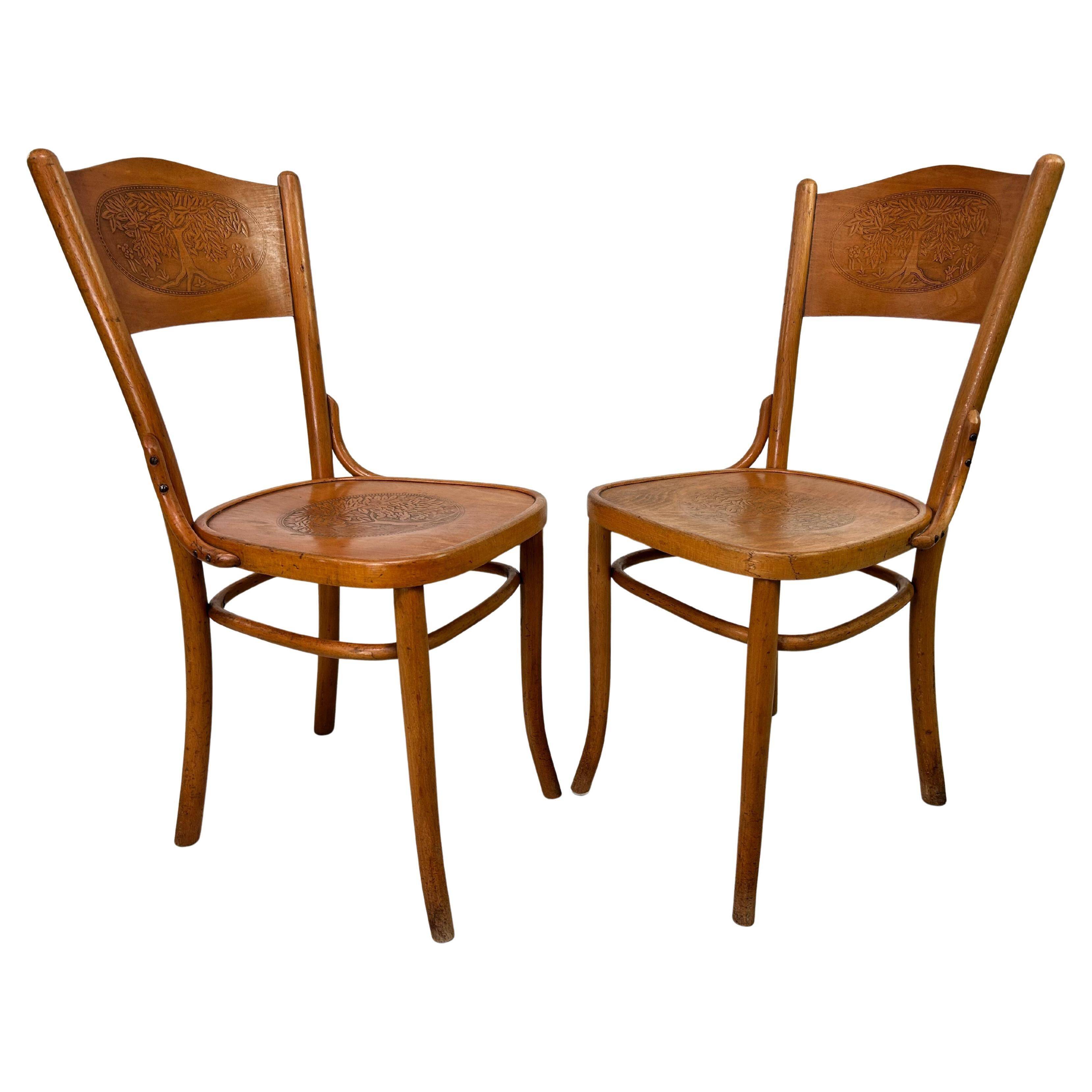 Bentwood dining chairs by Thonet