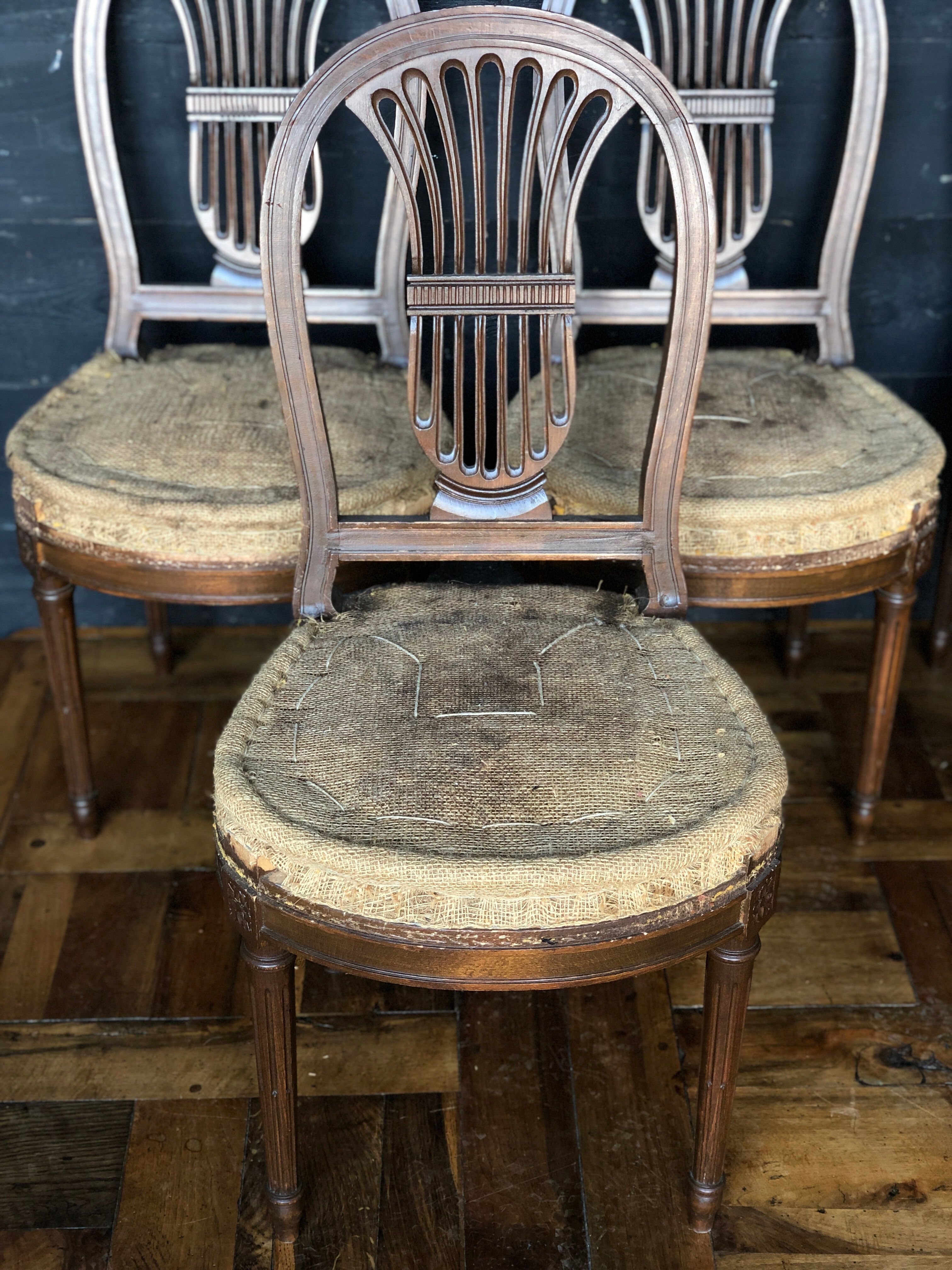 6 Louis XVI-style chairs