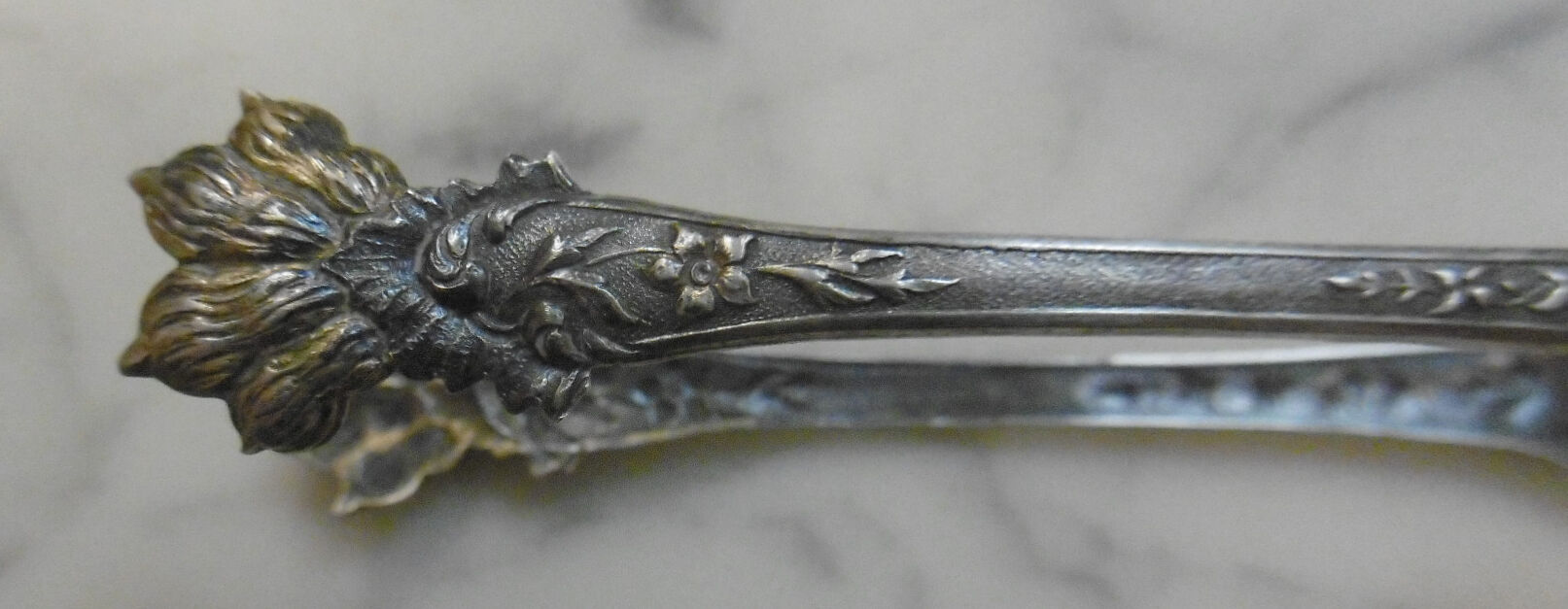 Sugar clamp debut XXeme - minerva punch