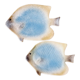 2 empty ceramic fish pockets