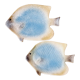 2 empty ceramic fish pockets