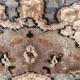 Tapis d'orient laine 190x129cm