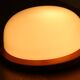 Wood and opaline wall/ceiling light