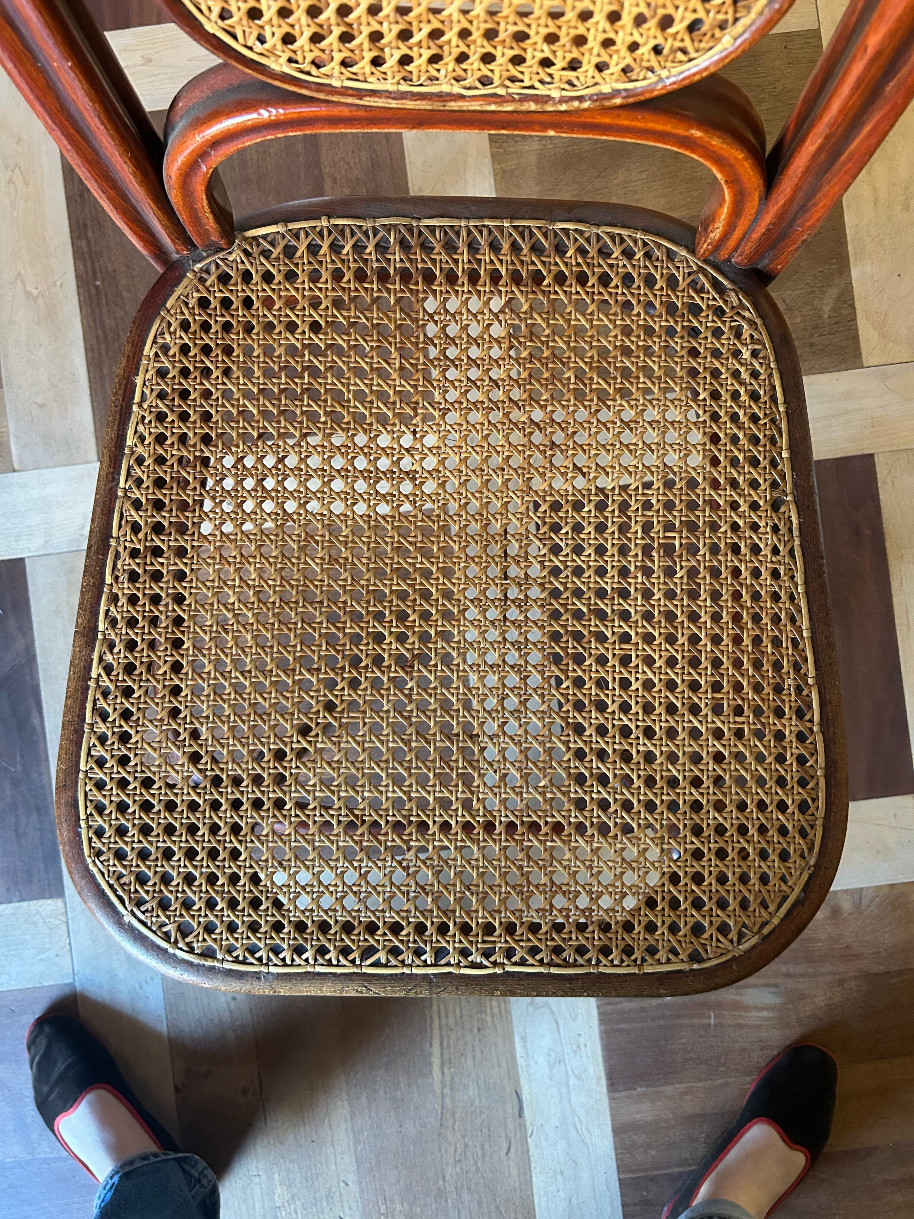 Antique Thonet chair in bent wood and caning - Model no. 32