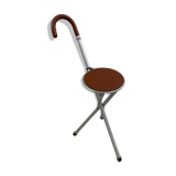 Vintage cane folding chair