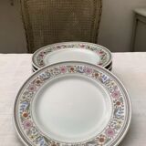 Porcelain dessert plates from the German brand Schonwald