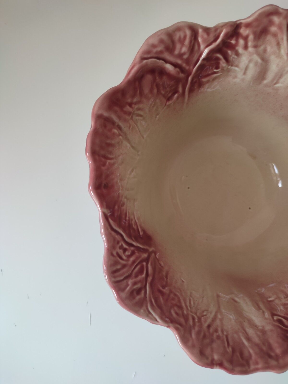 Salad bowl cabbage slurry