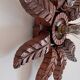 Old wooden wall light