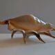Great Shell – Giant Scallop Lambis truncata - Exceptional 37 cm