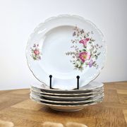 6 assiettes creuses mitterteich bavaria vintage