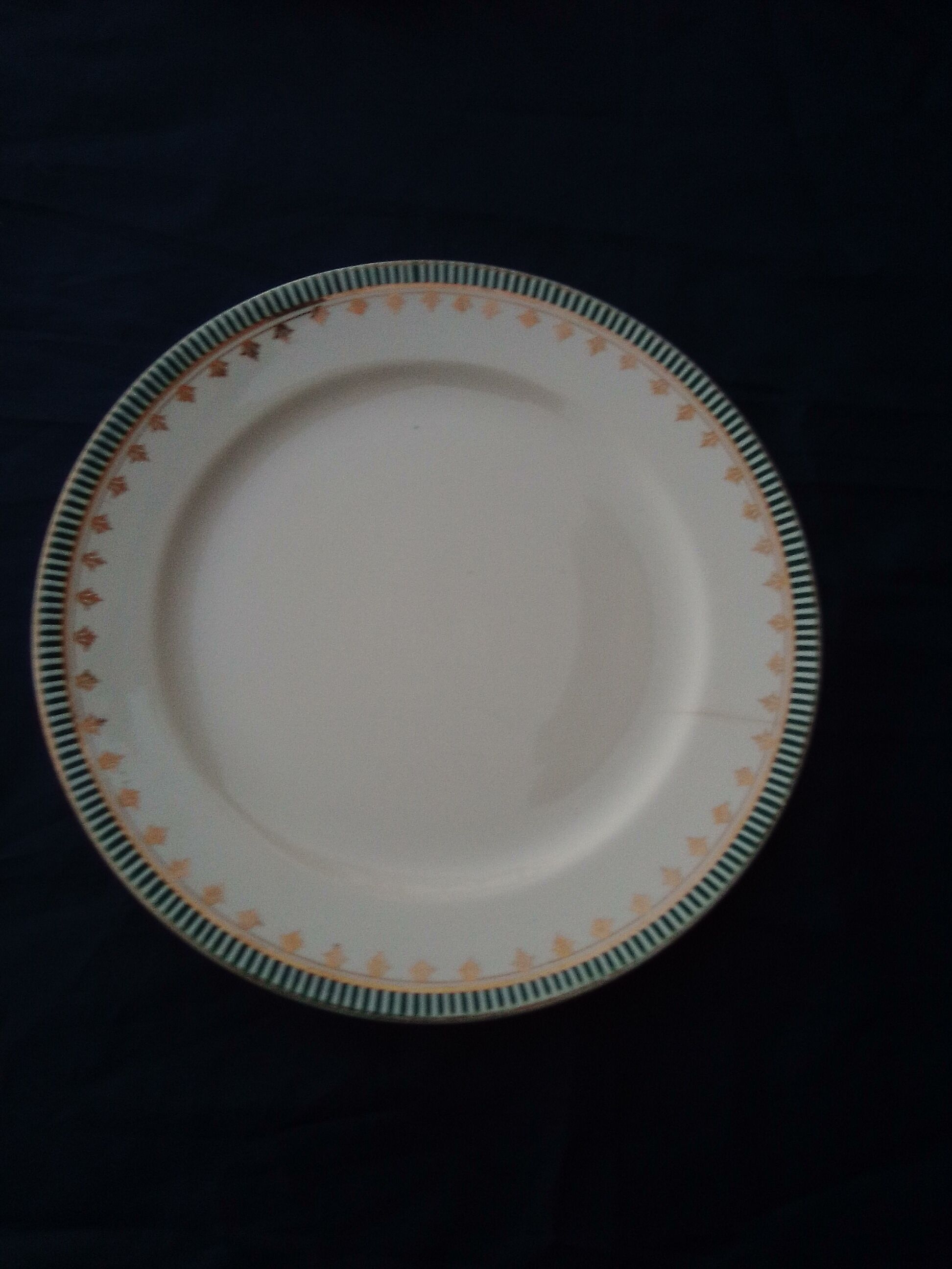 Flat plate in earthenware of Digoin Sarreguemines model Arcole diam 23,5 cm