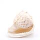 Coquillage beige et blanc spirale, années 60