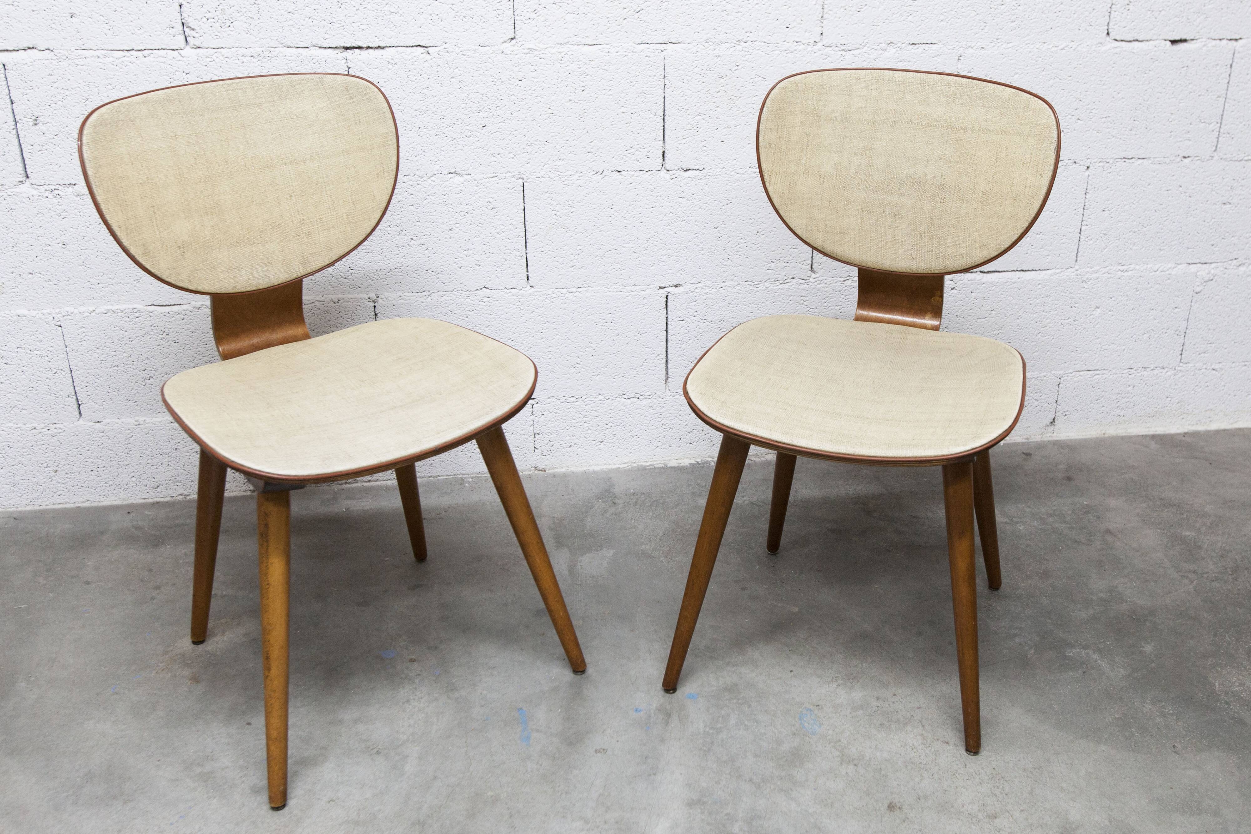 Pair of Baumann chairs No. 831 G1 "design Max Bill" 1960