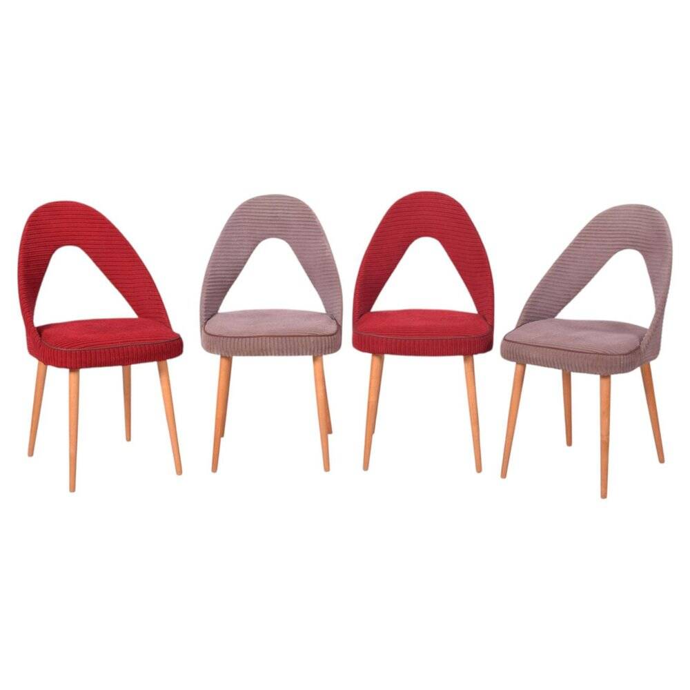 Chaises Mid-Century en hêtre, tchèque, années 1950, ensemble de 4