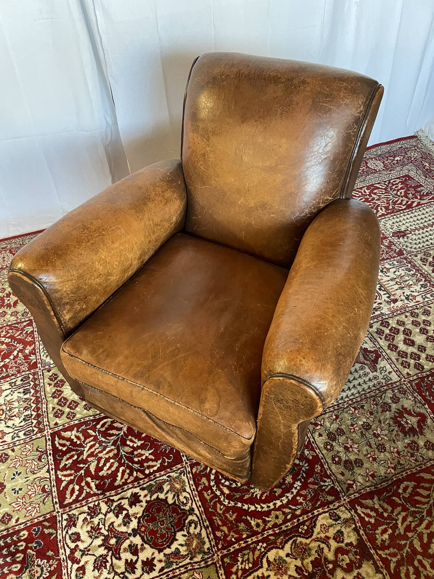 Vintage club armchair in cowhide leather
