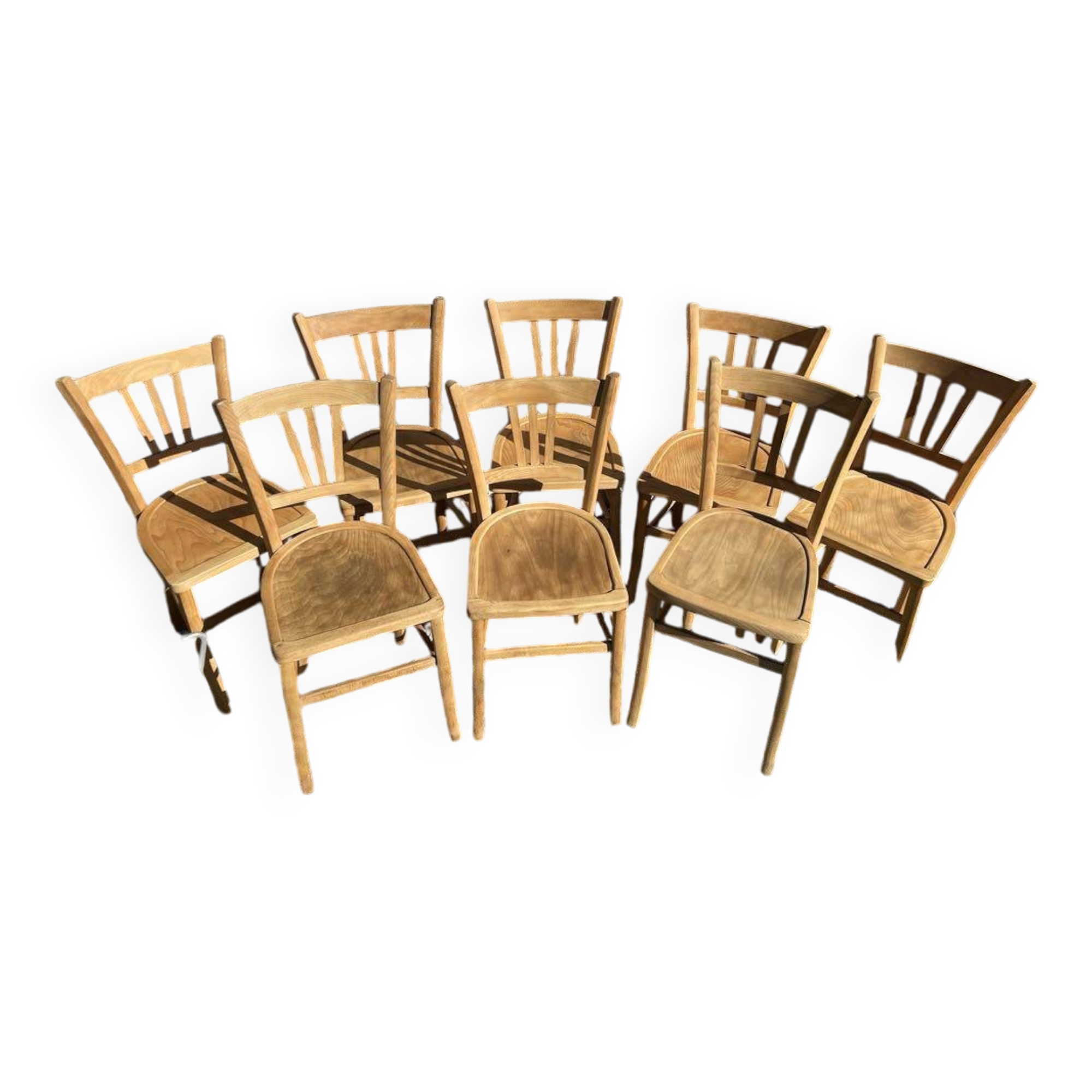 Bristot chairs