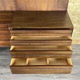 1960s 1970s Rio Rosewood Shelving System by Poul Cadovius for Cado Denmark