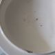 Large soup tureen blue and white ironstone K G Lunéville