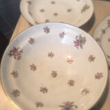Limoges dinnerware set