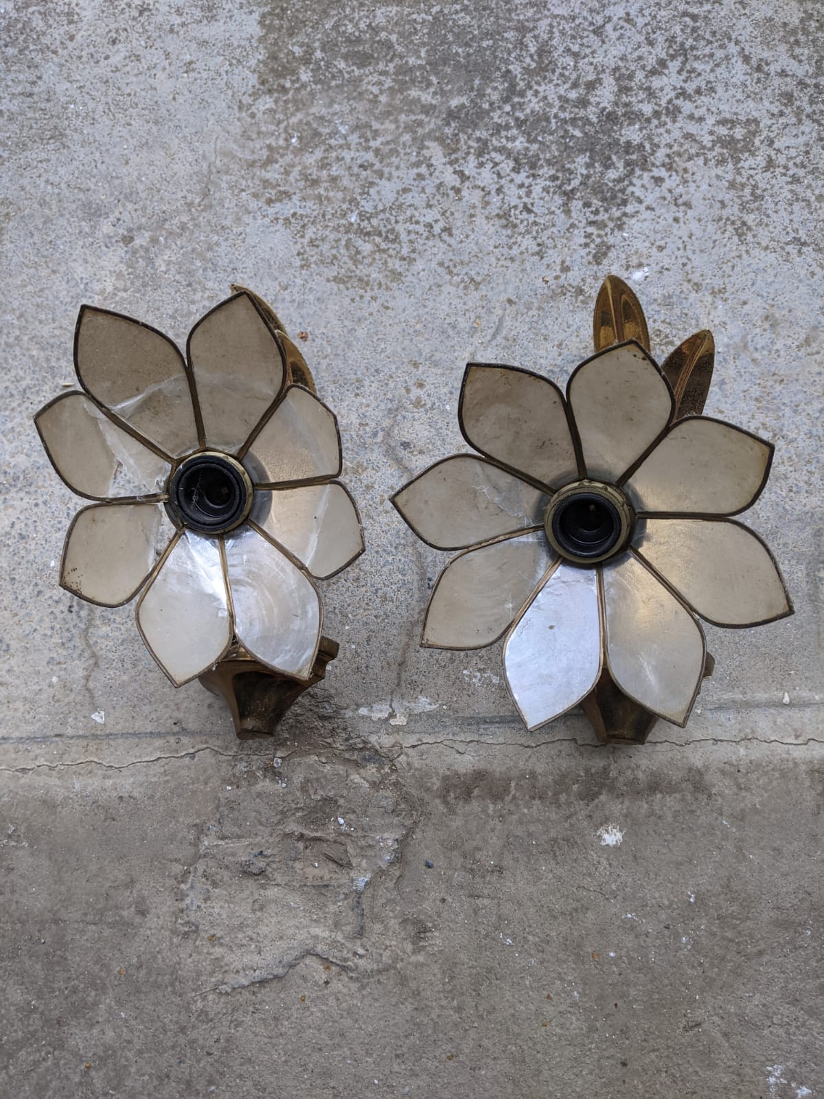 Paire d'appliques fleur en nacre