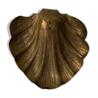 Shell wall decoration