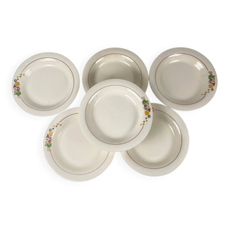 Set of 6 demi-deep plates from Longwy, early 20th century, floral decoration.