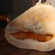 Shell Cassis Cornuta