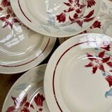 Badonvillier deep plates