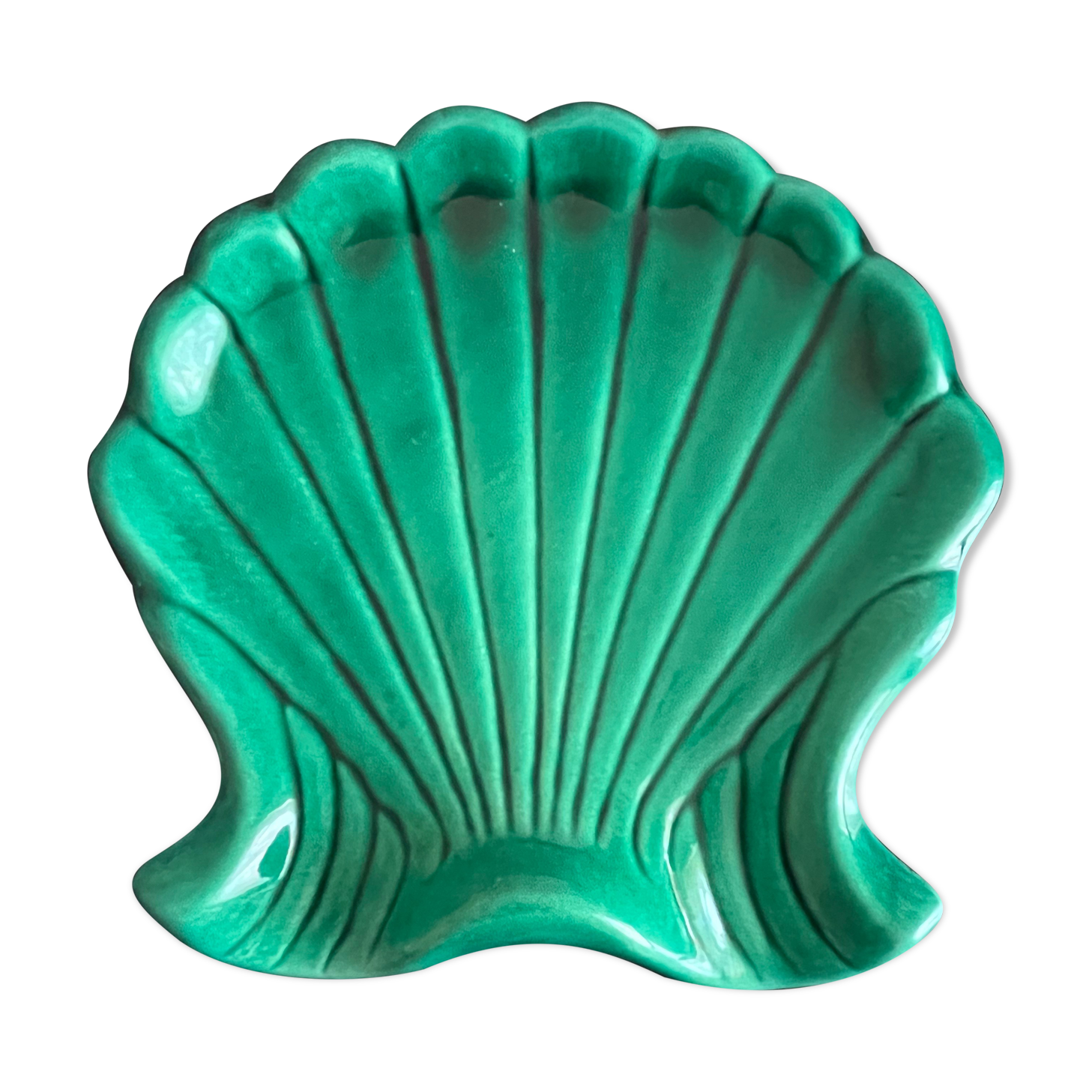 Empty shell-shaped pocket